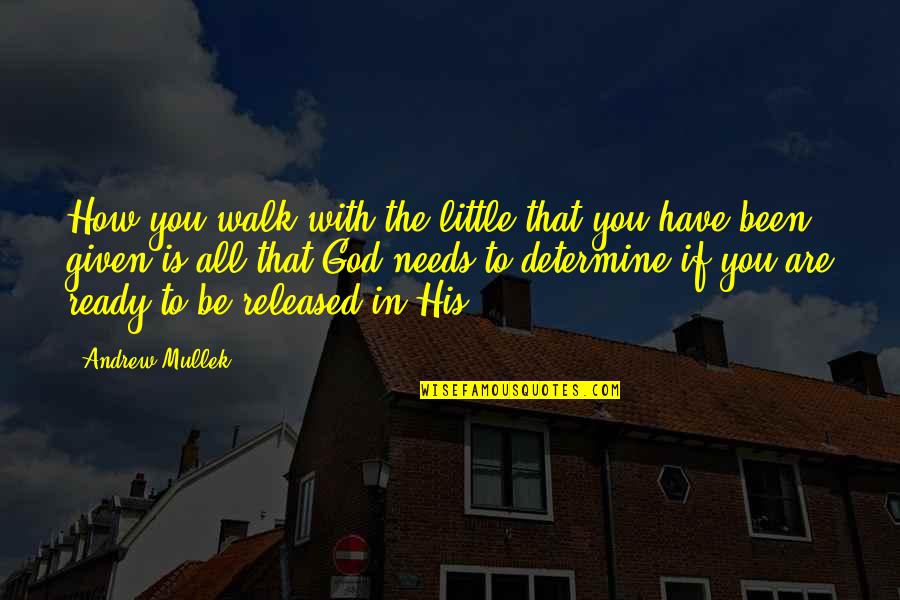 Dedeto Quotes By Andrew Mullek: How you walk with the little that you