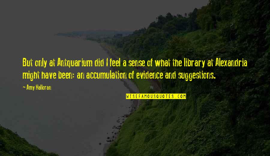 Dedio Converter Quotes By Amy Halloran: But only at Antquarium did I feel a Dedio Converter Quotes By Amy Halloran: But only at Antquarium did I feel a