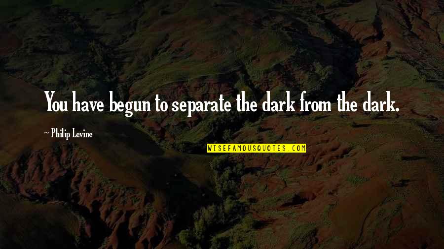 Dedis Leqsebi Quotes By Philip Levine: You have begun to separate the dark from Dedis Leqsebi Quotes By Philip Levine: You have begun to separate the dark from