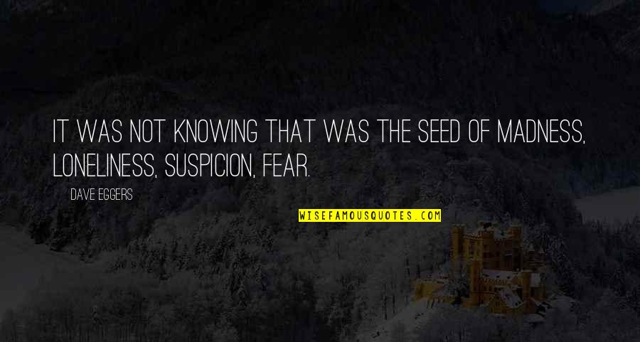 Deductionist Quotes By Dave Eggers: It was not knowing that was the seed