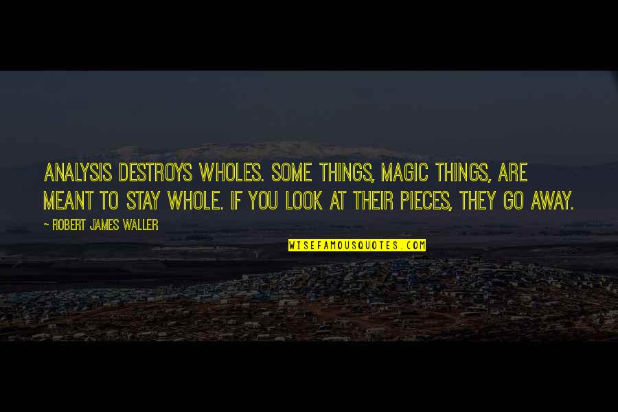 Dee Snider's Strangeland Quotes By Robert James Waller: Analysis destroys wholes. Some things, magic things, are Dee Snider's Strangeland Quotes By Robert James Waller: Analysis destroys wholes. Some things, magic things, are