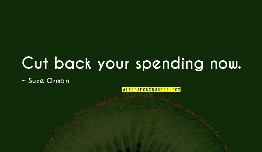 Deedat Lion Quotes By Suze Orman: Cut back your spending now. Deedat Lion Quotes By Suze Orman: Cut back your spending now.