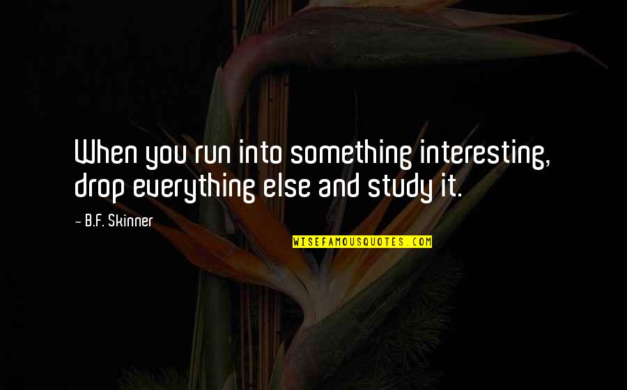 Deedra Irwin Quotes By B.F. Skinner: When you run into something interesting, drop everything