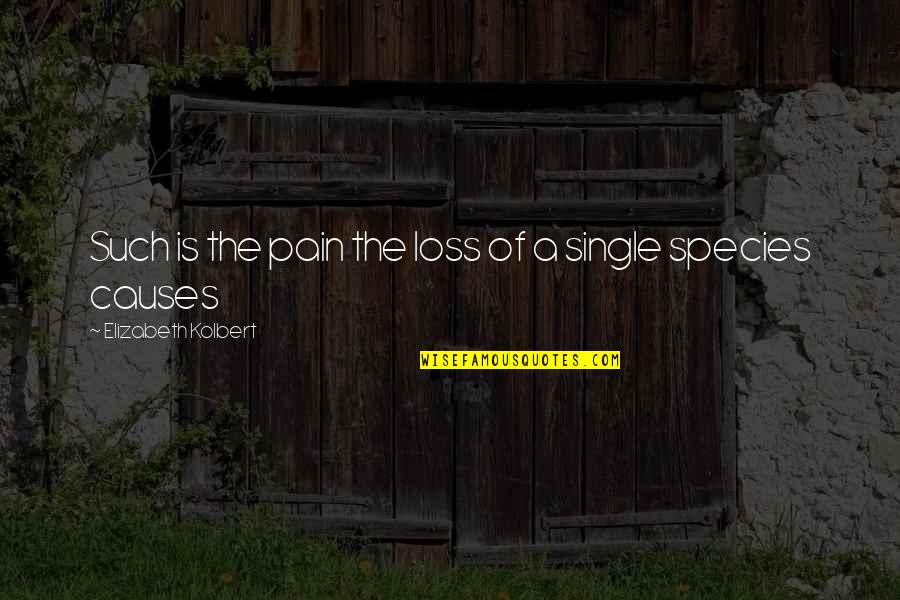 Deeni Baatein Quotes By Elizabeth Kolbert: Such is the pain the loss of a Deeni Baatein Quotes By Elizabeth Kolbert: Such is the pain the loss of a