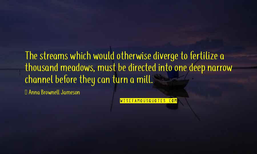 Deep And Narrow Quotes By Anna Brownell Jameson: The streams which would otherwise diverge to fertilize