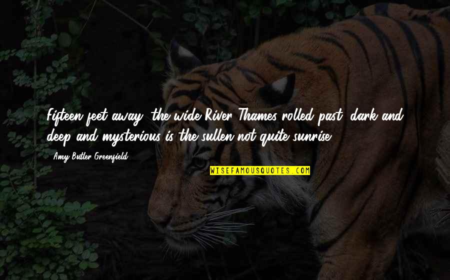 Deep And Wide Quotes By Amy Butler Greenfield: Fifteen feet away, the wide River Thames rolled Deep And Wide Quotes By Amy Butler Greenfield: Fifteen feet away, the wide River Thames rolled