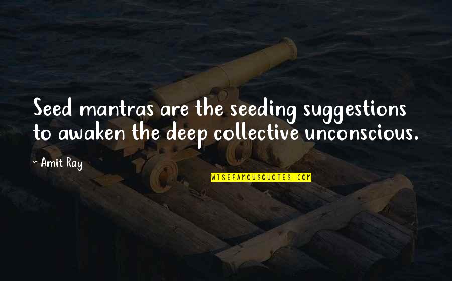 Deep Awakening Quotes By Amit Ray: Seed mantras are the seeding suggestions to awaken