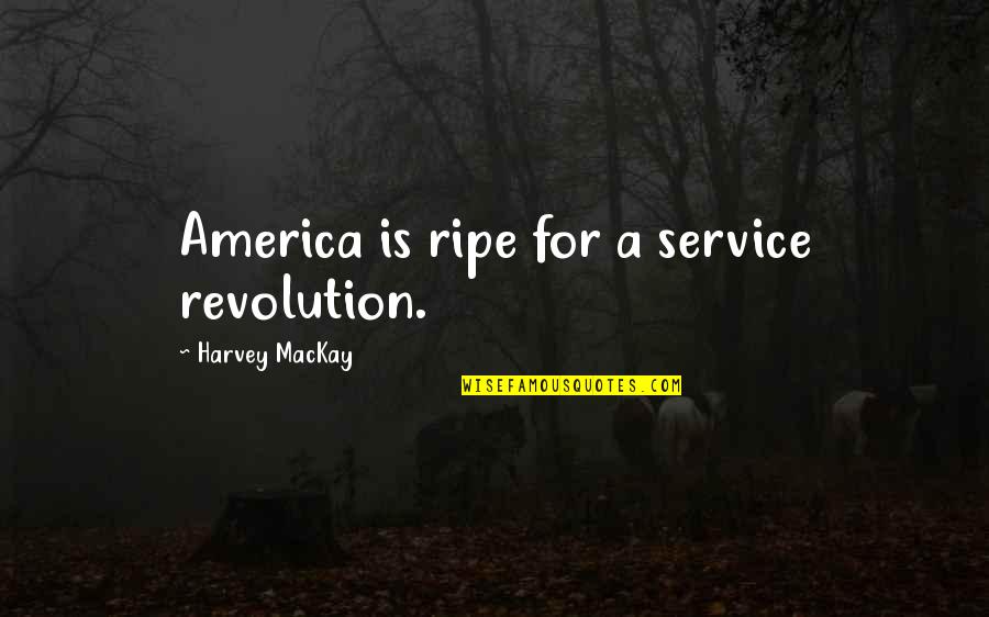 Deep Dark Depressing Quotes By Harvey MacKay: America is ripe for a service revolution.