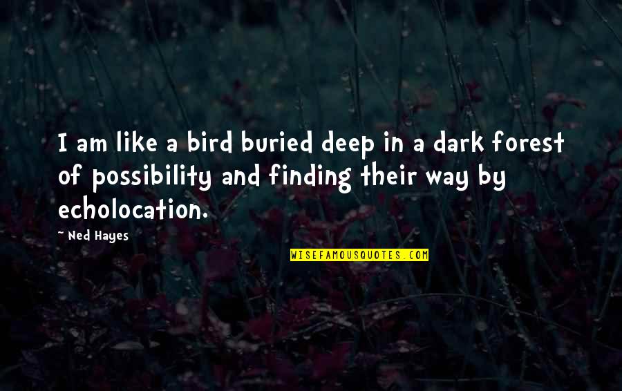 Deep Dark Forest Quotes By Ned Hayes: I am like a bird buried deep in Deep Dark Forest Quotes By Ned Hayes: I am like a bird buried deep in