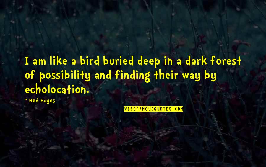 Deep Dark Quotes By Ned Hayes: I am like a bird buried deep in