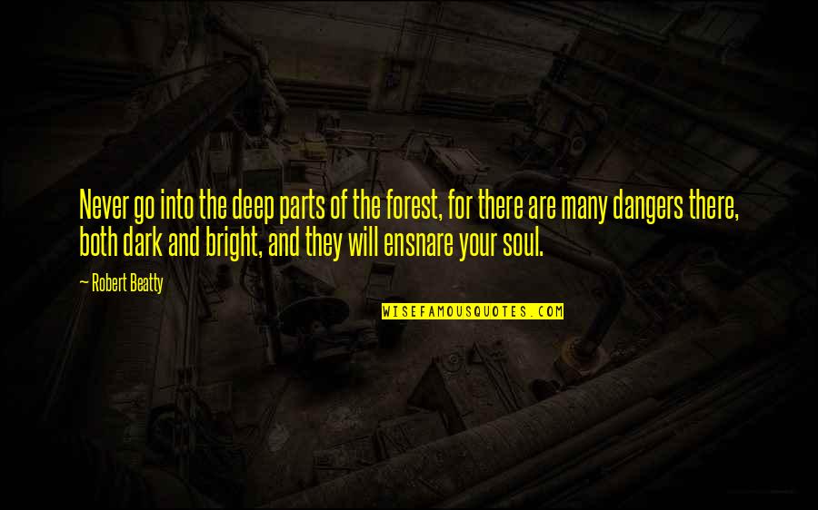 Deep Dark Quotes By Robert Beatty: Never go into the deep parts of the
