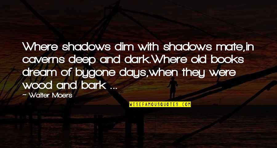 Deep Dark Quotes By Walter Moers: Where shadows dim with shadows mate,in caverns deep