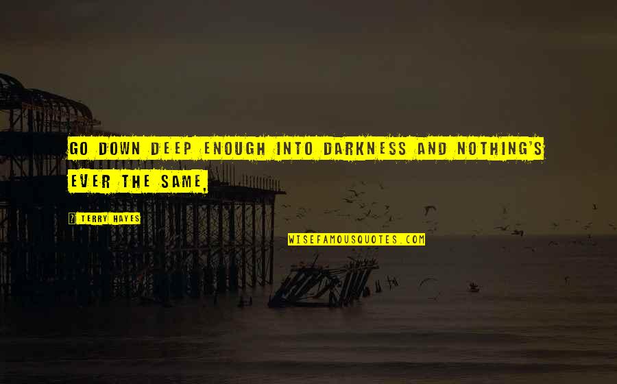 Deep Darkness Quotes By Terry Hayes: Go down deep enough into darkness and nothing's