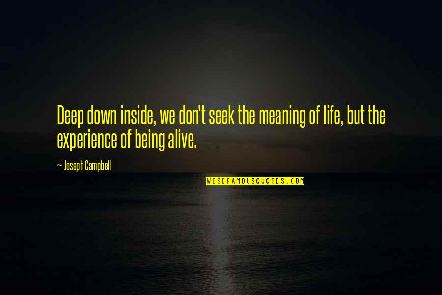 Deep Down Inside Quotes By Joseph Campbell: Deep down inside, we don't seek the meaning