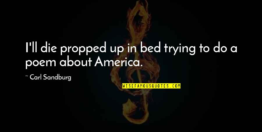 Deep Down Popular Book Quotes By Carl Sandburg: I'll die propped up in bed trying to