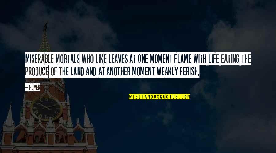 Deep English Sad Quotes By Homer: Miserable mortals who like leaves at one moment Deep English Sad Quotes By Homer: Miserable mortals who like leaves at one moment