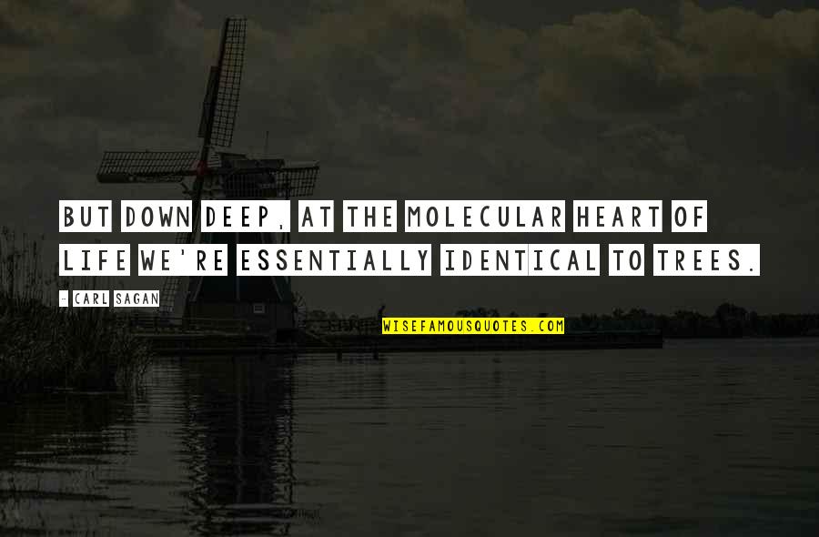 Deep Heart Quotes By Carl Sagan: But down deep, at the molecular heart of
