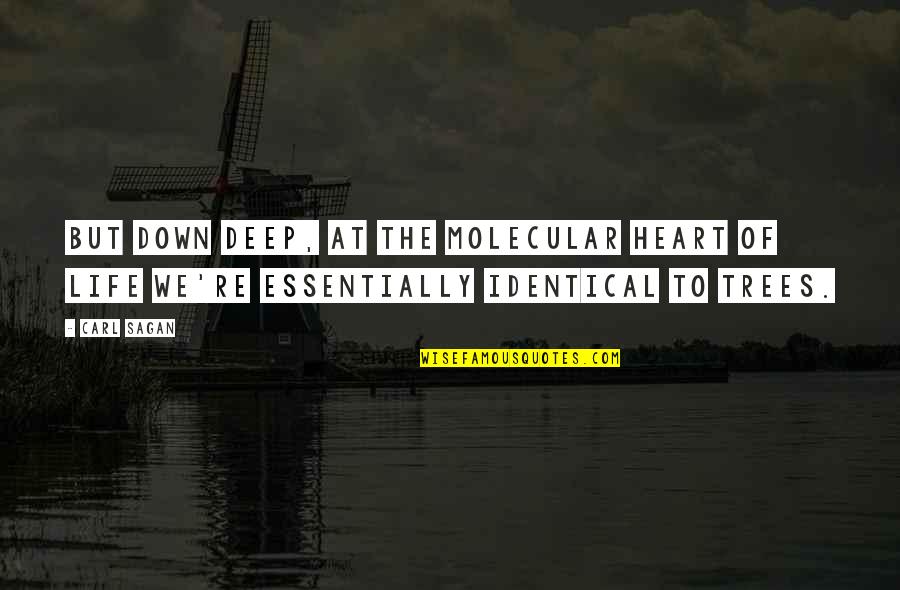 Deep Heart To Heart Quotes By Carl Sagan: But down deep, at the molecular heart of