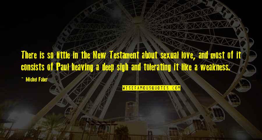 Deep In Love Quotes By Michel Faber: There is so little in the New Testament