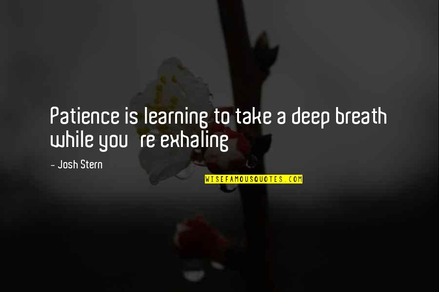 Deep Learning Quotes By Josh Stern: Patience is learning to take a deep breath