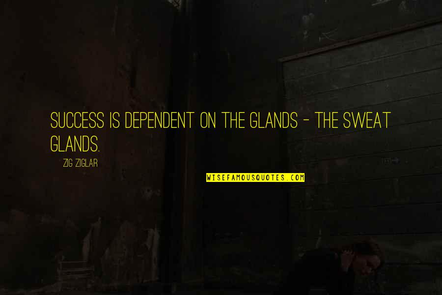 Deep Love Poetry Quotes By Zig Ziglar: Success is dependent on the glands - the