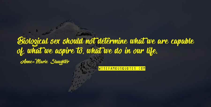 Deep New Years Eve Quotes By Anne-Marie Slaughter: Biological sex should not determine what we are Deep New Years Eve Quotes By Anne-Marie Slaughter: Biological sex should not determine what we are