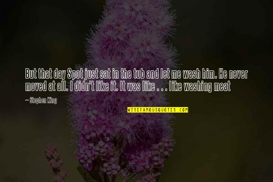 Deep Night Vale Quotes By Stephen King: But that day Spot just sat in the Deep Night Vale Quotes By Stephen King: But that day Spot just sat in the