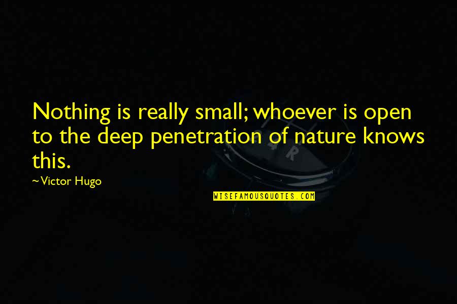 Deep Penetration Quotes By Victor Hugo: Nothing is really small; whoever is open to