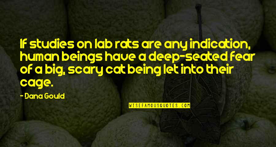 Deep Scary Quotes By Dana Gould: If studies on lab rats are any indication,