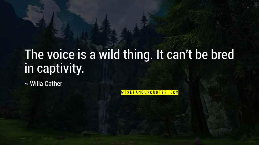 Deep Thoughts By Jack Handy Birthday Quotes By Willa Cather: The voice is a wild thing. It can't