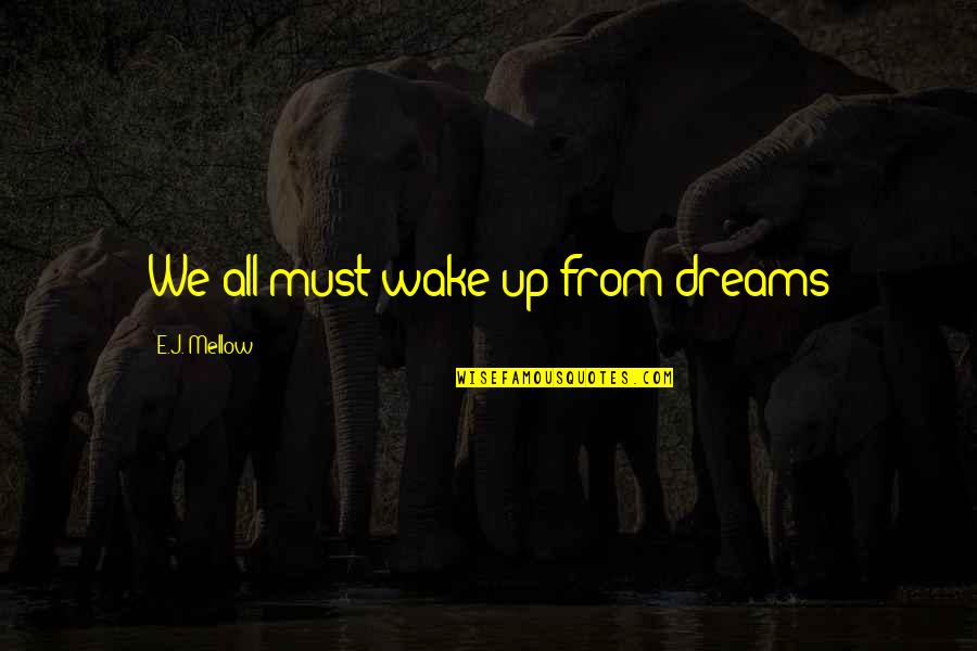 Deep Thoughts Or Quotes By E.J. Mellow: We all must wake up from dreams