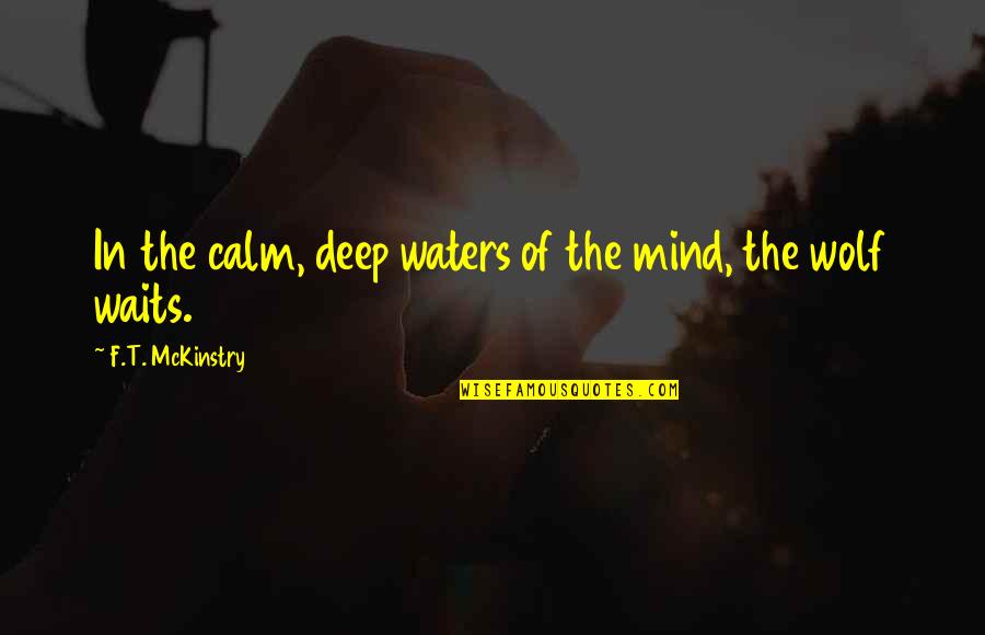 Deep Waters Quotes By F.T. McKinstry: In the calm, deep waters of the mind,