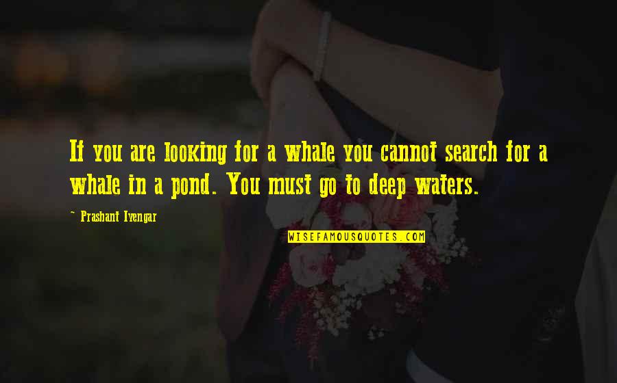 Deep Waters Quotes By Prashant Iyengar: If you are looking for a whale you
