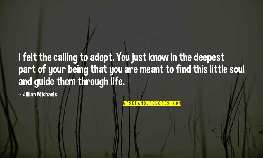 Deepest Life Quotes By Jillian Michaels: I felt the calling to adopt. You just