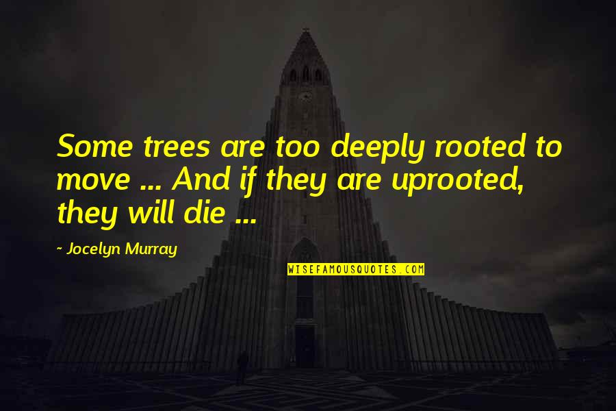 Deeply Rooted Quotes By Jocelyn Murray: Some trees are too deeply rooted to move