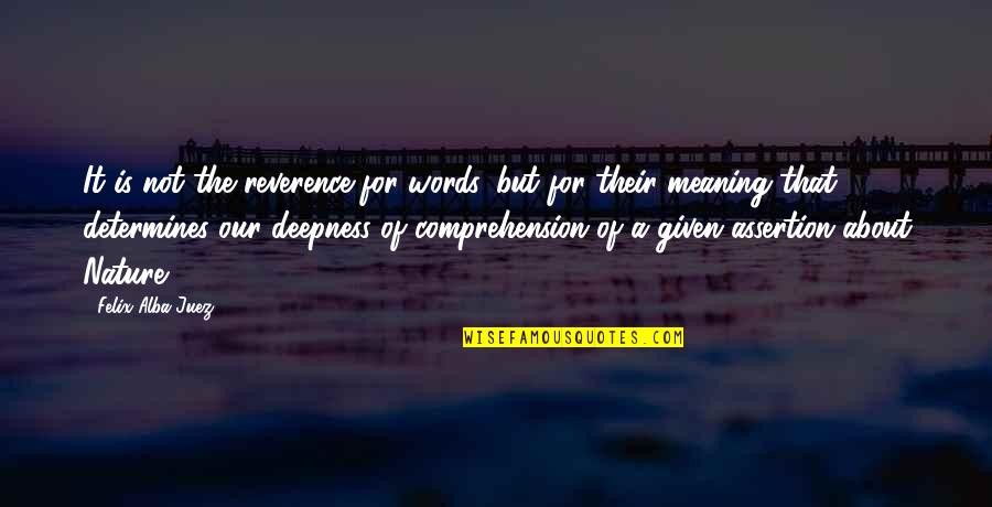 Deepness Quotes By Felix Alba-Juez: It is not the reverence for words, but