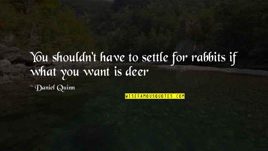 Deer Quotes By Daniel Quinn: You shouldn't have to settle for rabbits if