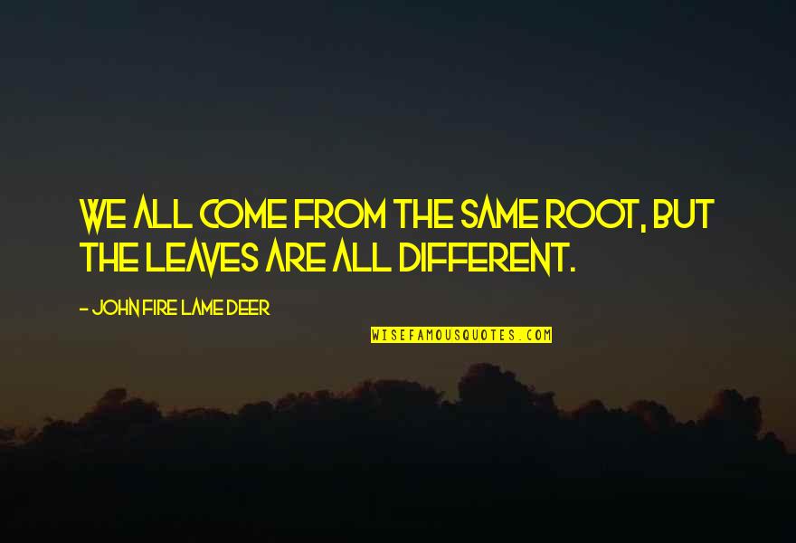 Deer Quotes By John Fire Lame Deer: We all come from the same root, but