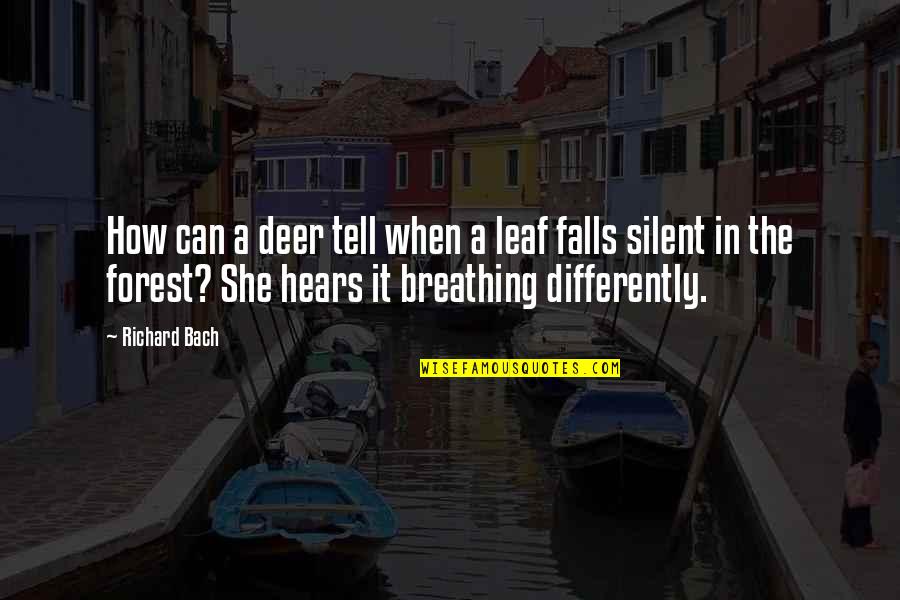 Deer Quotes By Richard Bach: How can a deer tell when a leaf