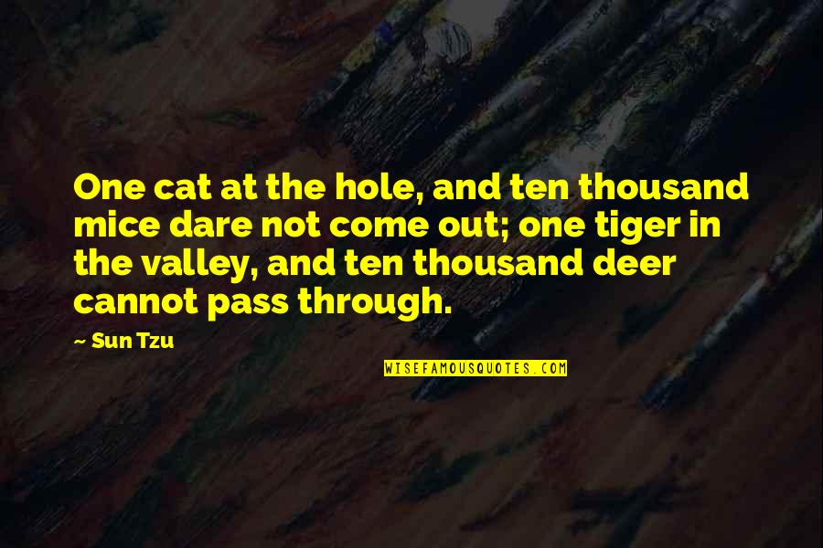 Deer Quotes By Sun Tzu: One cat at the hole, and ten thousand