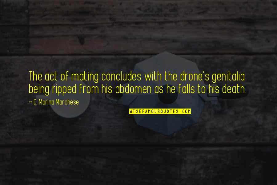 Deer Season Quotes By C. Marina Marchese: The act of mating concludes with the drone's