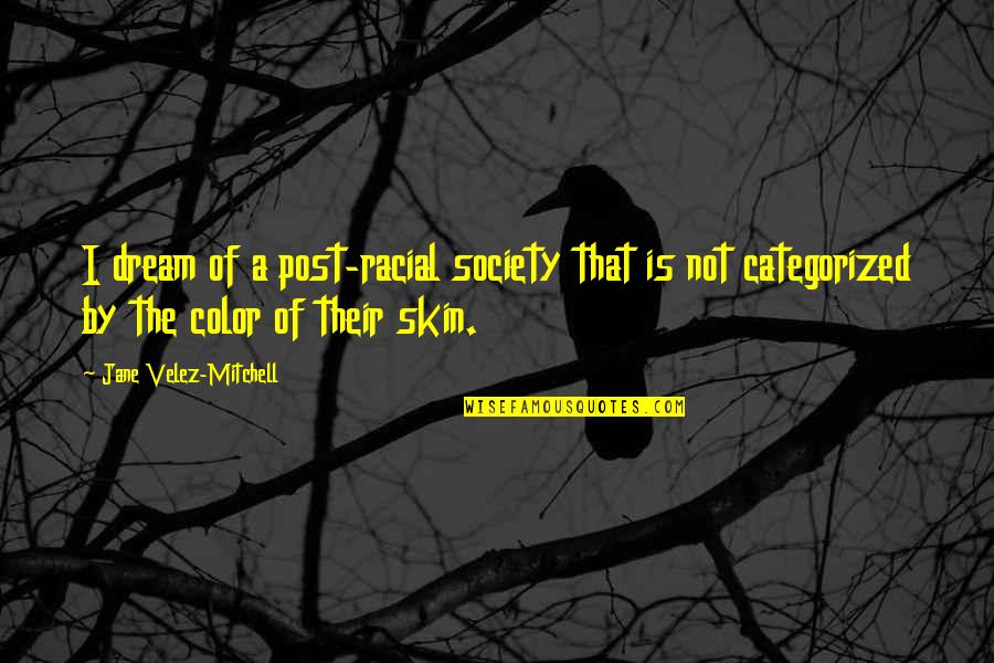 Defatted Coconut Quotes By Jane Velez-Mitchell: I dream of a post-racial society that is Defatted Coconut Quotes By Jane Velez-Mitchell: I dream of a post-racial society that is