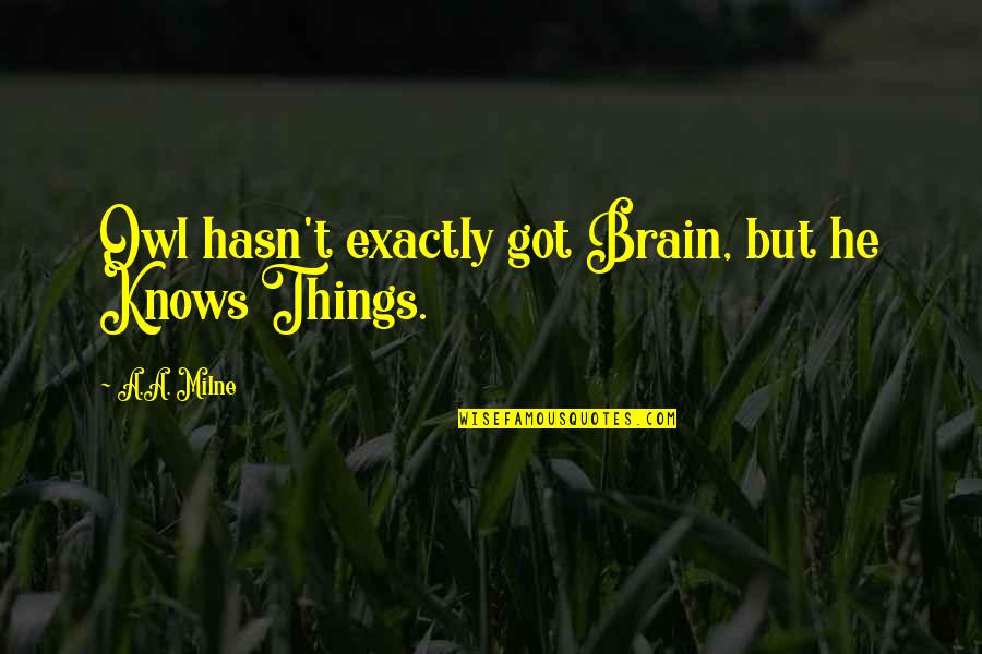 Defcionki Quotes By A.A. Milne: Owl hasn't exactly got Brain, but he Knows Defcionki Quotes By A.A. Milne: Owl hasn't exactly got Brain, but he Knows