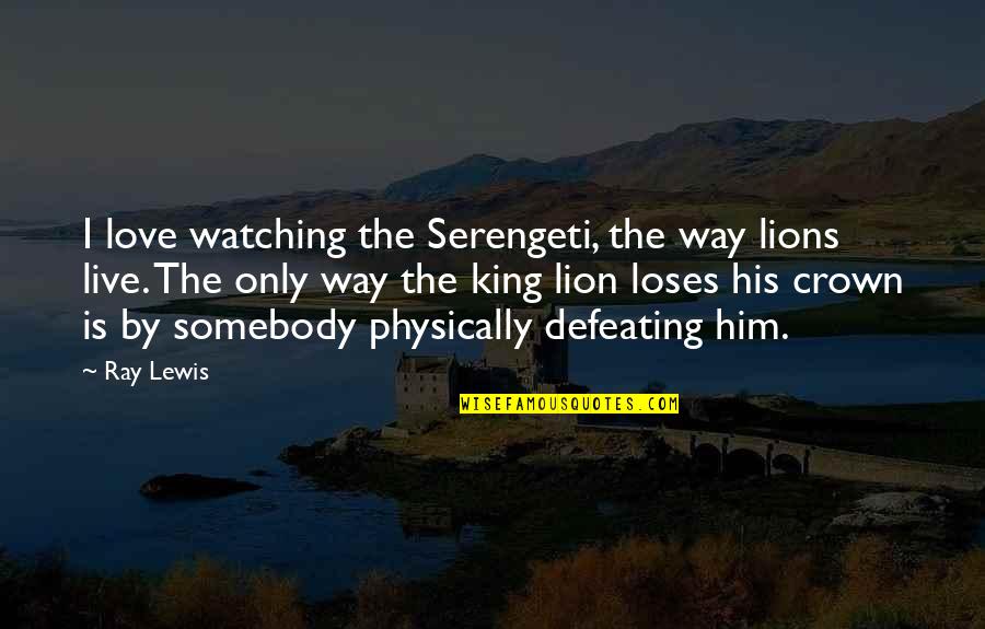 Defeating Quotes By Ray Lewis: I love watching the Serengeti, the way lions Defeating Quotes By Ray Lewis: I love watching the Serengeti, the way lions