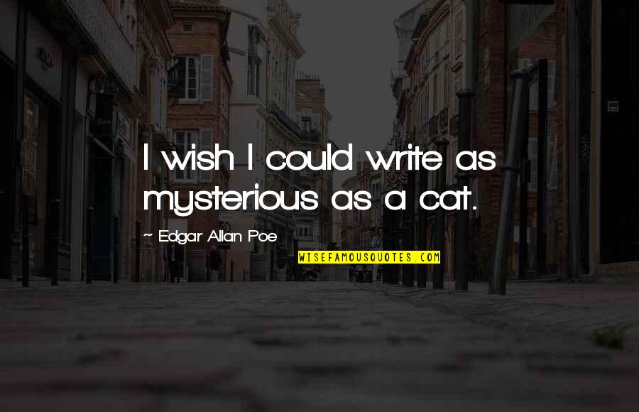 Defences Quotes By Edgar Allan Poe: I wish I could write as mysterious as