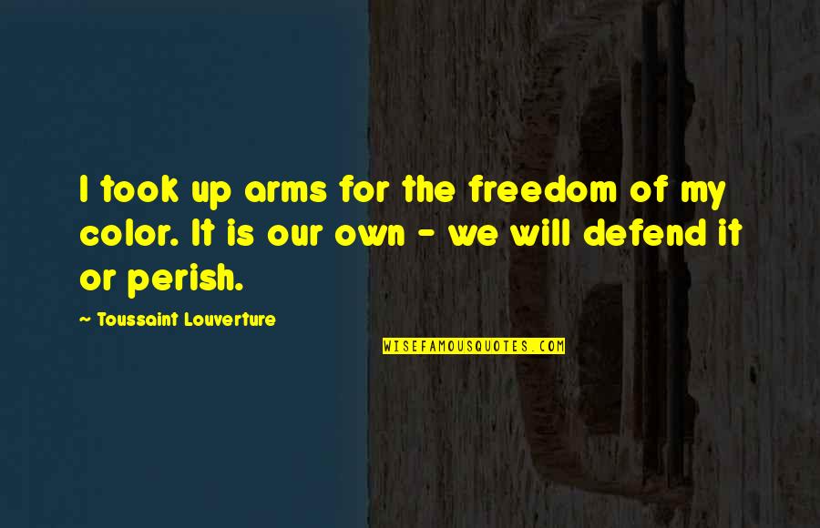 Defend Freedom Quotes By Toussaint Louverture: I took up arms for the freedom of