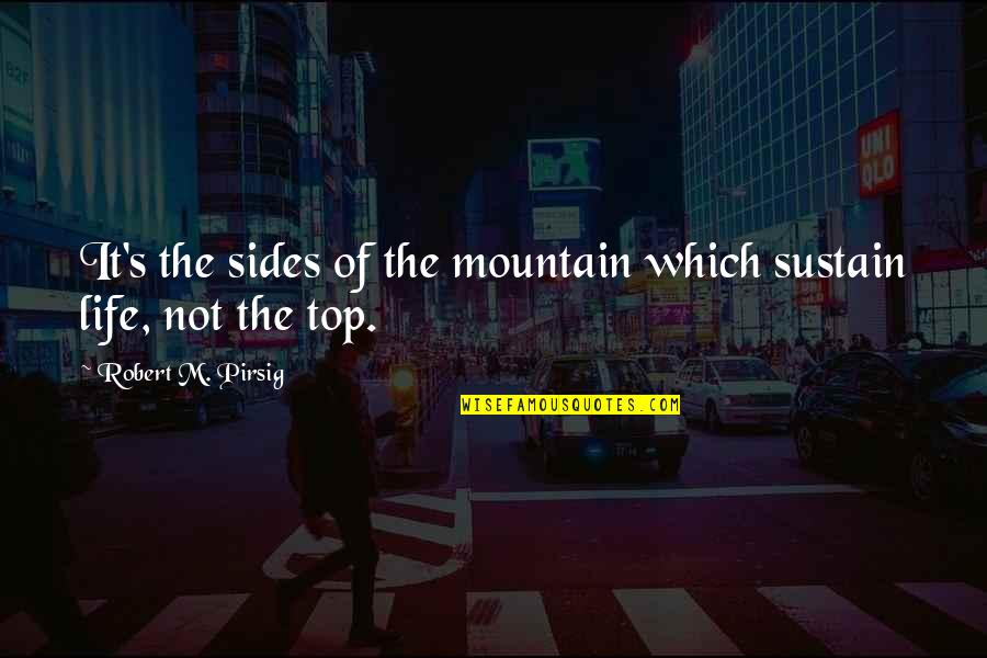 Defend Your Family Quotes By Robert M. Pirsig: It's the sides of the mountain which sustain
