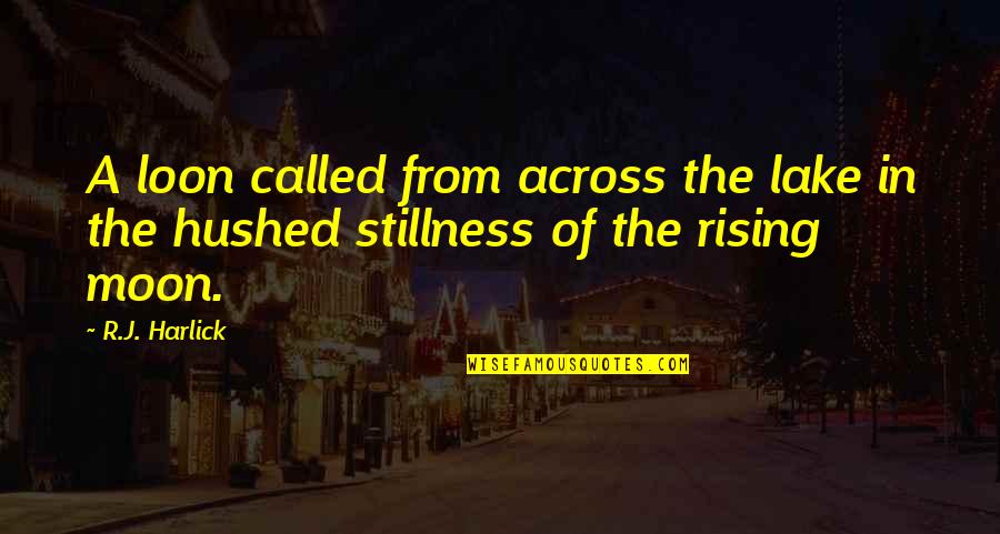 Defending My Family Quotes By R.J. Harlick: A loon called from across the lake in