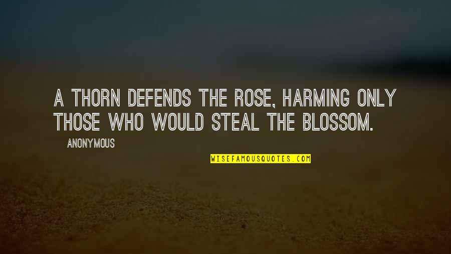 Defends Quotes By Anonymous: A thorn defends the rose, harming only those