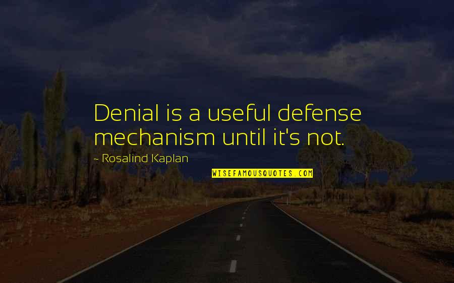 Defense Mechanism Quotes By Rosalind Kaplan: Denial is a useful defense mechanism until it's